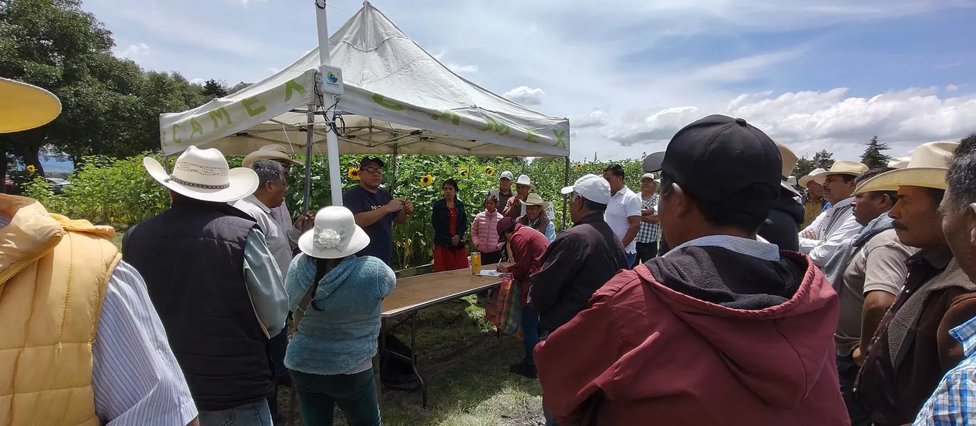 Productores en campo con la estación de Norman, Estado de México (ICAMEX)