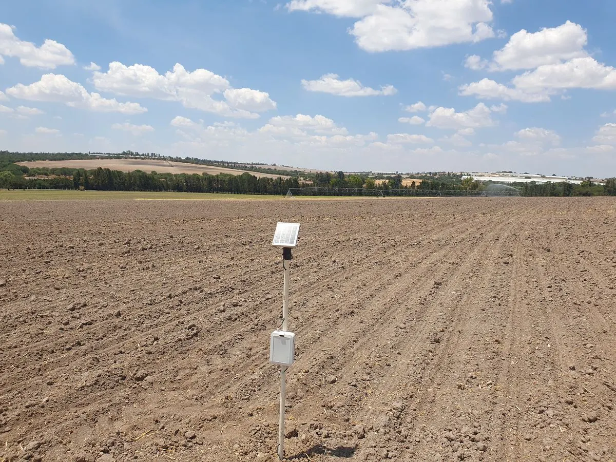 Estación de Norman en el pivote de maíz de Proan, junio de 2024