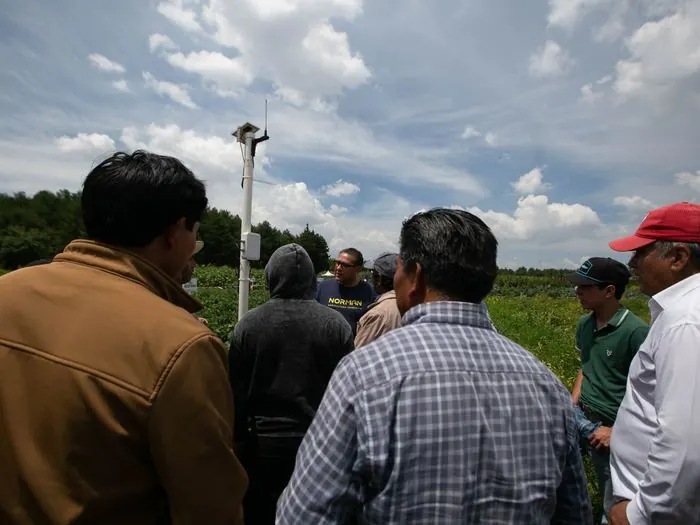 Estación de Norman en parcela con productores, Estado de México