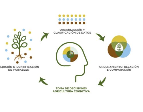 El camino a la Agricultura Cognitiva